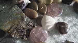 SAMSUNG CAMERA PICTURES