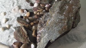 SAMSUNG CAMERA PICTURES