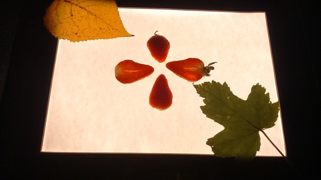 Lessons with a&nbsp;Lightbox