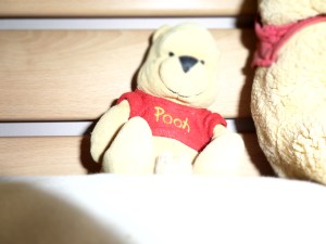 Little Yellow Bear (The Accomplished Traveller)