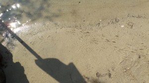 SAMSUNG CAMERA PICTURES