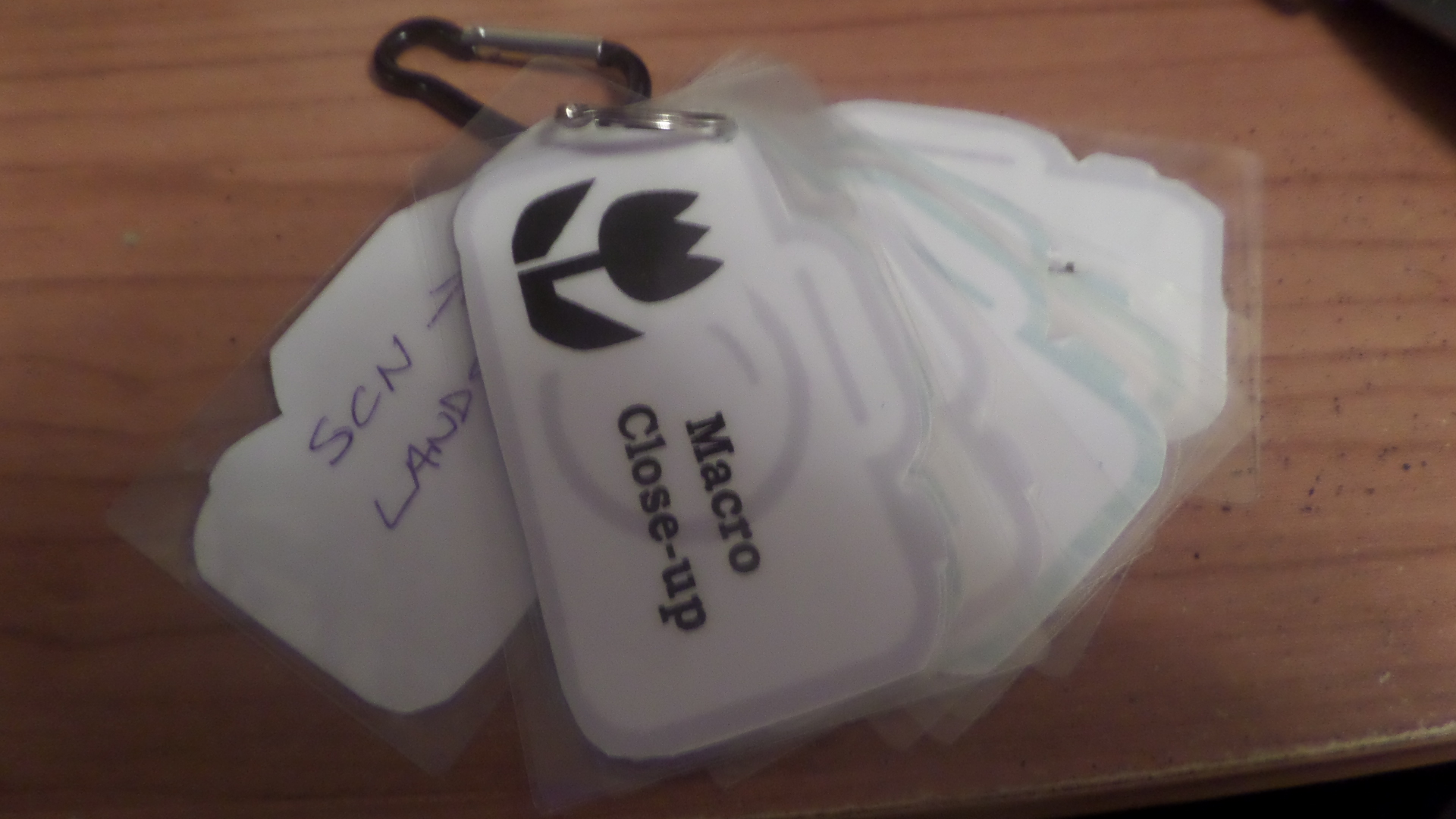 SAMSUNG CAMERA PICTURES