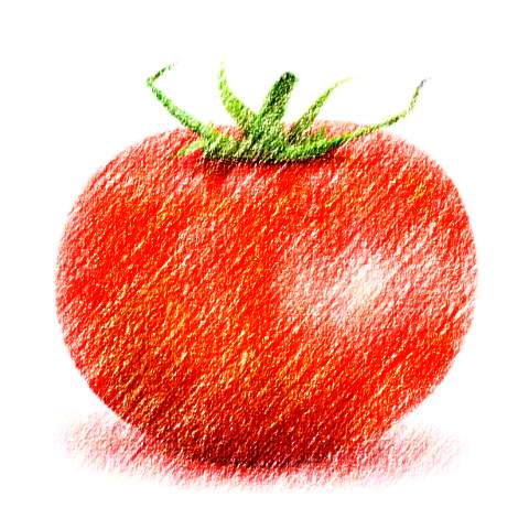 tomato-edit
