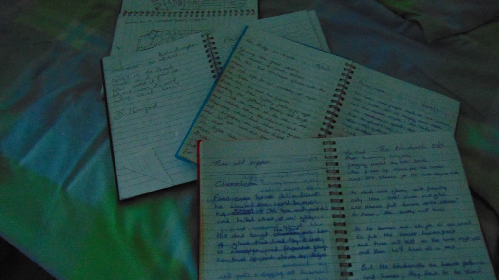 My Notebooks