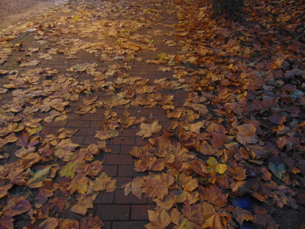 Four elements from&nbsp;nature