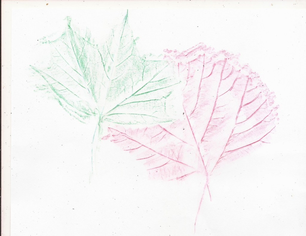 Impressions of Autumn