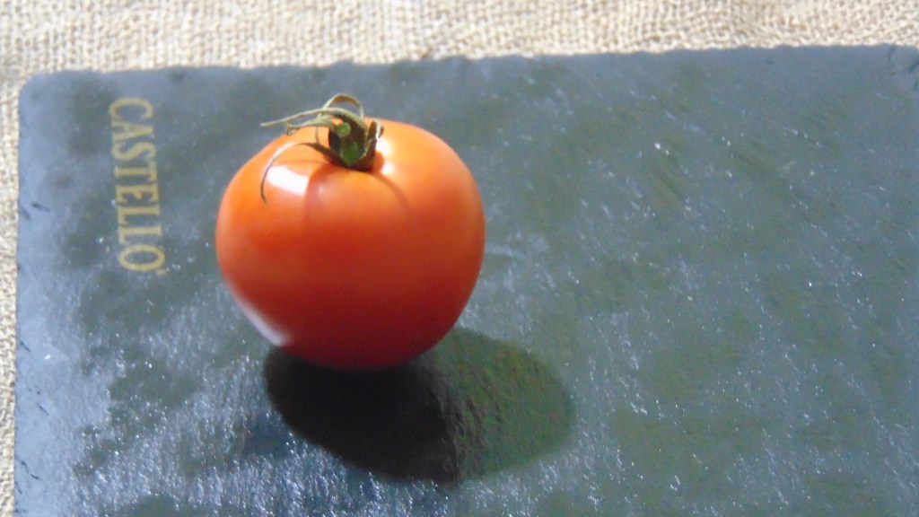 Tomato