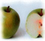 Grannysmithapple_Painting