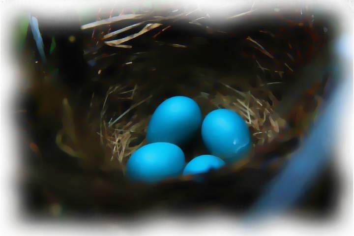 robineggblue_painting