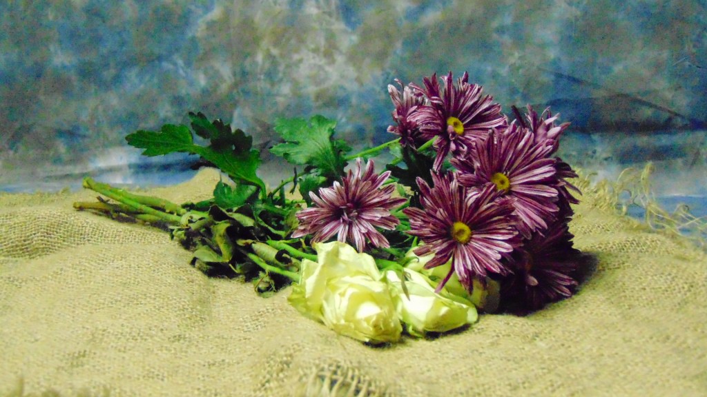 Waterfalls and Closeups