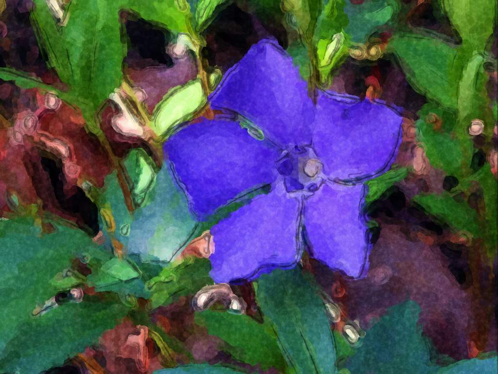 periwinkle