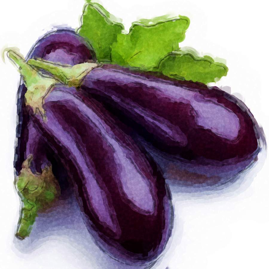eggplant