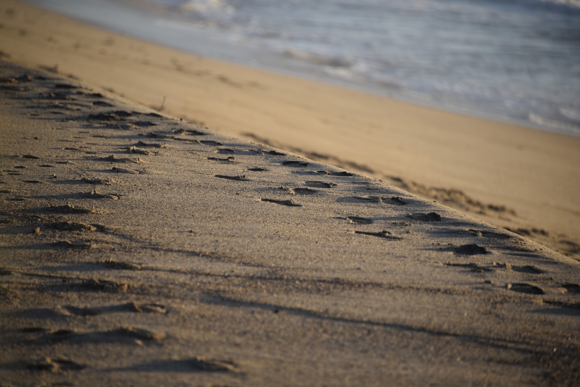 footprints-in-sand.jpg