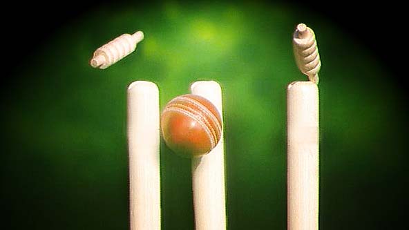 Cricket