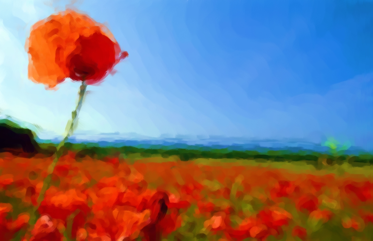 poppy-remembrance-poems-bk