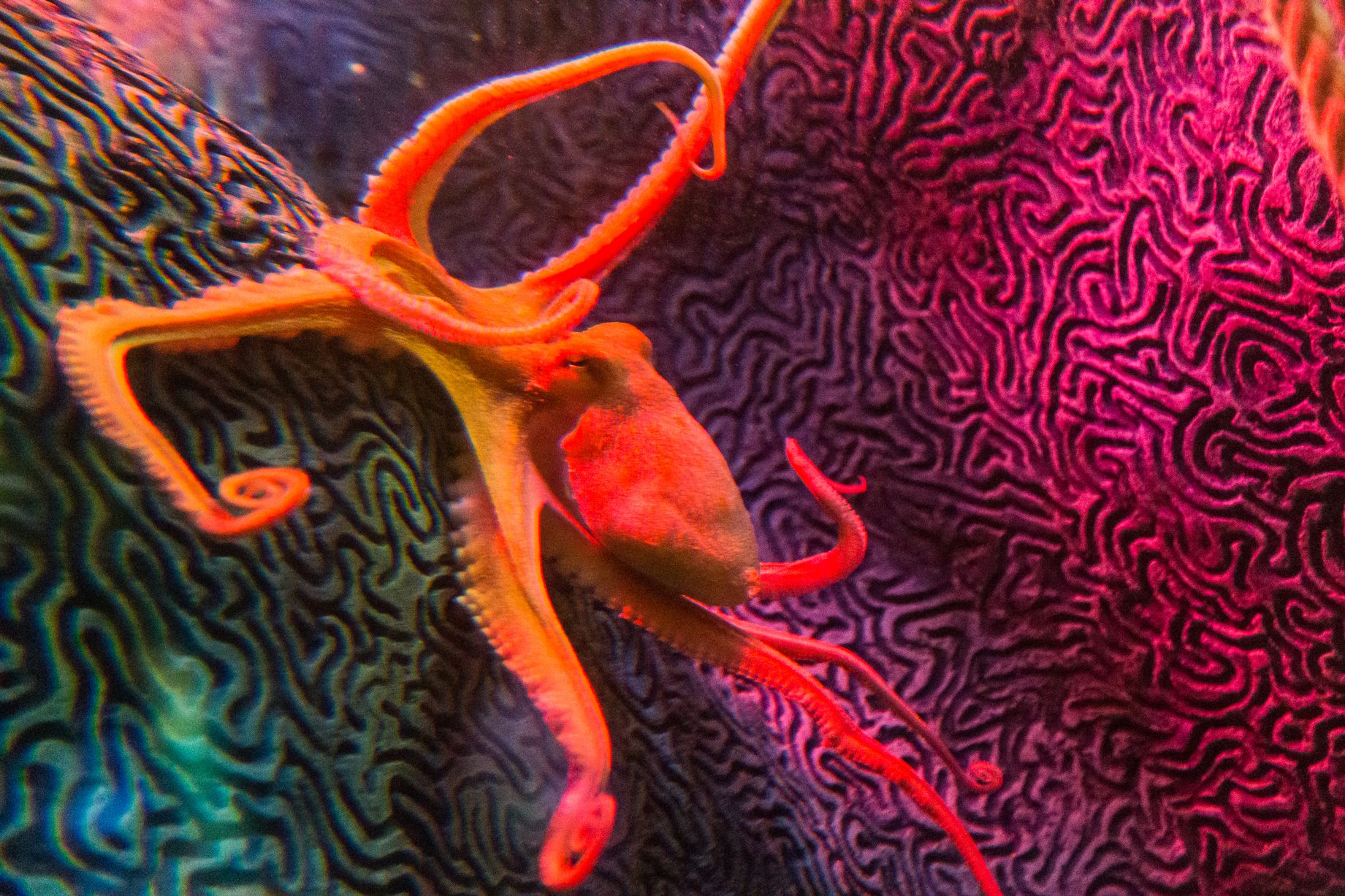 D57DD7FD-BF0F-4A26-B140-4FE0CAB5B9D9