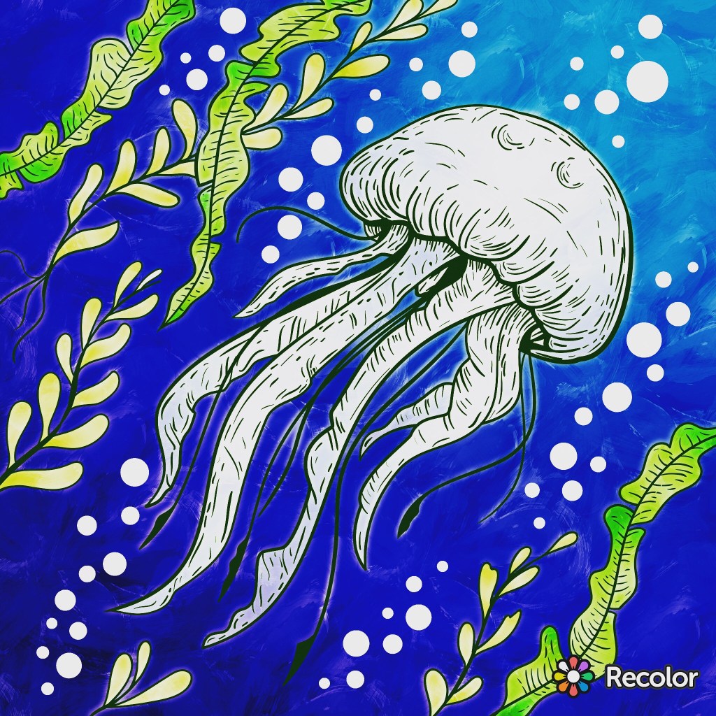 Memories of a glass bottomed&nbsp;boat