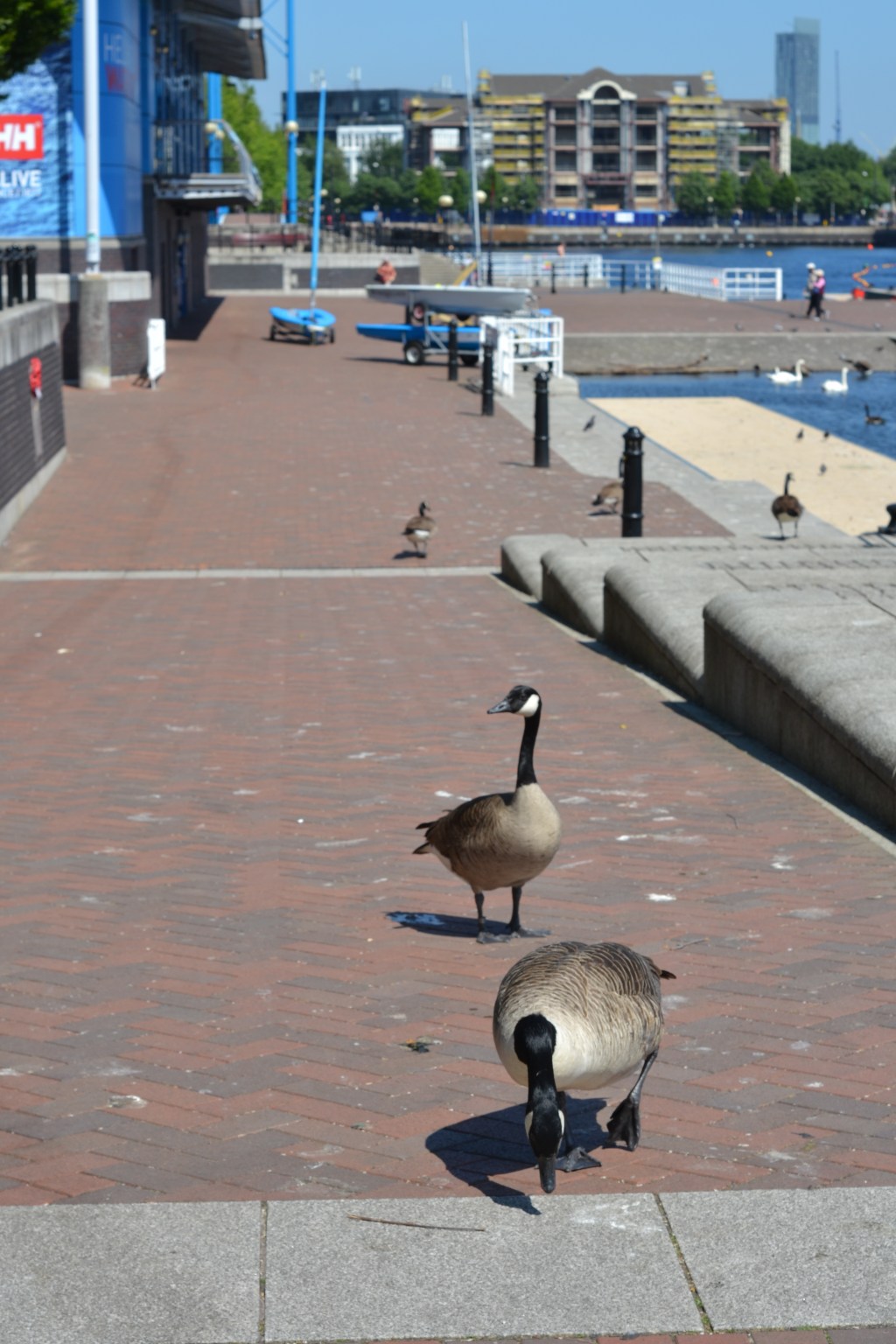 Challenge 30 –&nbsp;No22