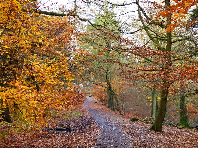 Octpowrimo – Seeing