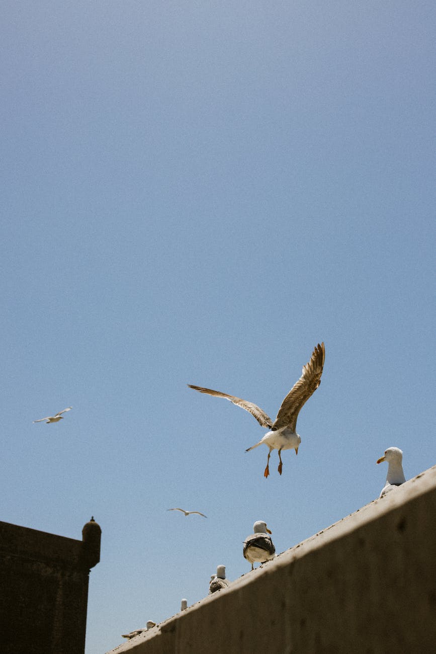 Meeting on the&nbsp;Terraza