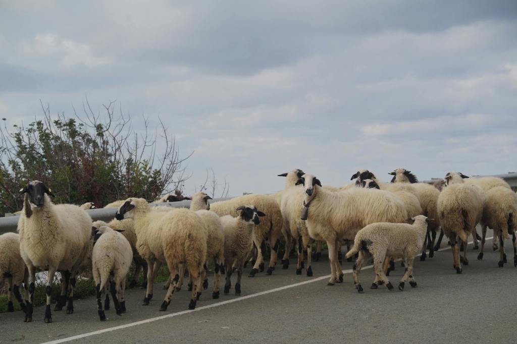 If only i’d listened&nbsp;II