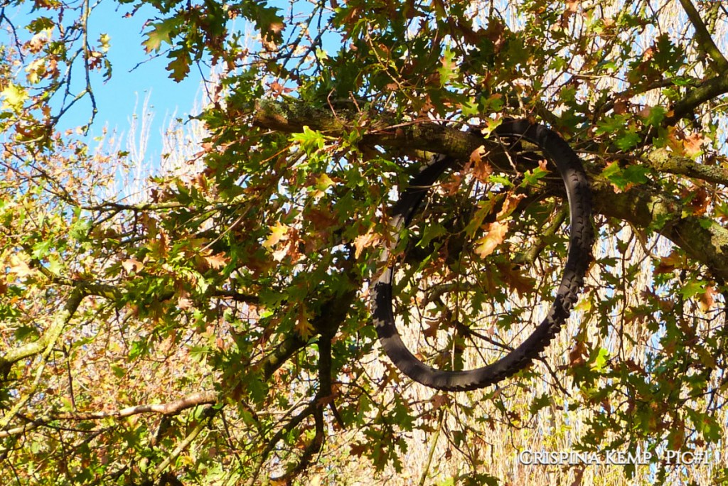 The moral of the&nbsp;tale