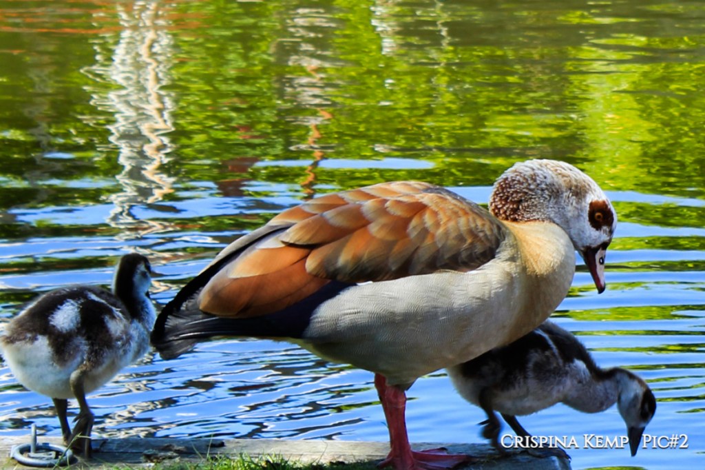 Lessons from Mum and&nbsp;Dad