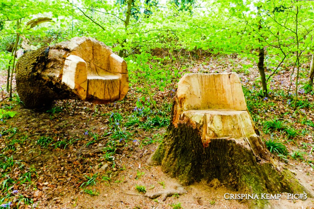 Forest Seat