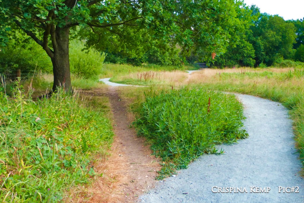 Meandering